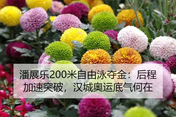 潘展乐200米自由泳夺金：后程加速突破，汉城奥运底气何在