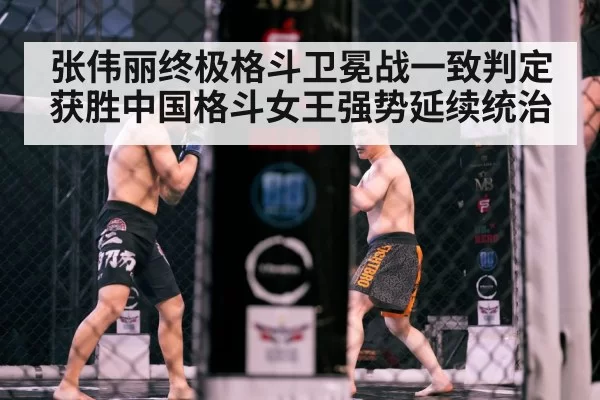 MMA cage fight